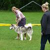DCNH Clubschau 2011 101